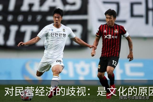 对民营经济的歧视：是文化的原因，还是意识形态的推动